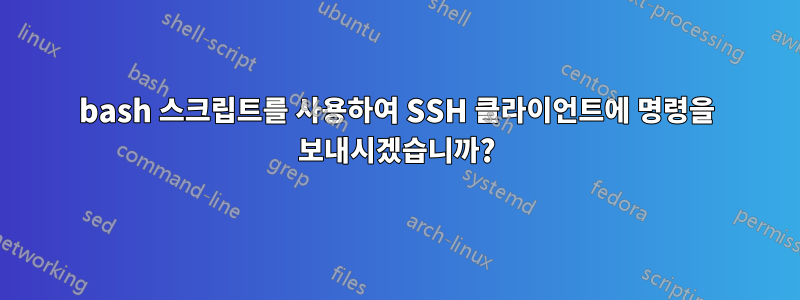 bash 스크립트를 사용하여 SSH 클라이언트에 명령을 보내시겠습니까?