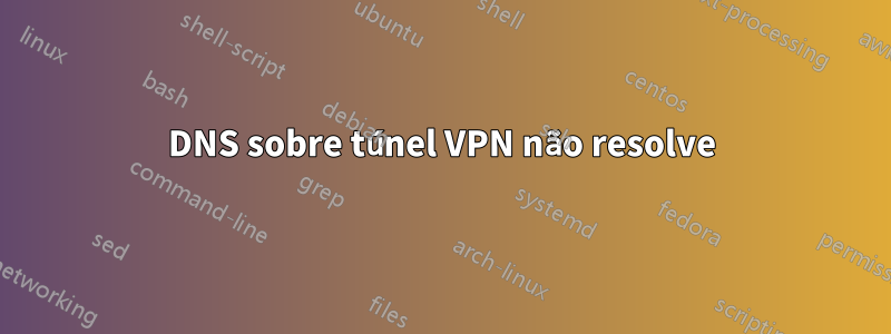 DNS sobre túnel VPN não resolve