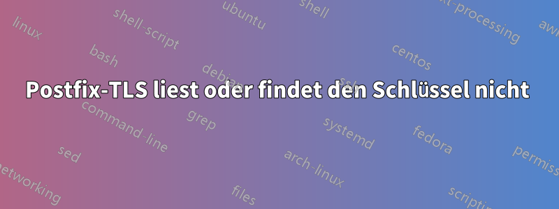 Postfix-TLS liest oder findet den Schlüssel nicht