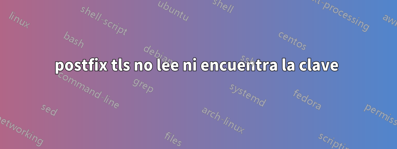 postfix tls no lee ni encuentra la clave