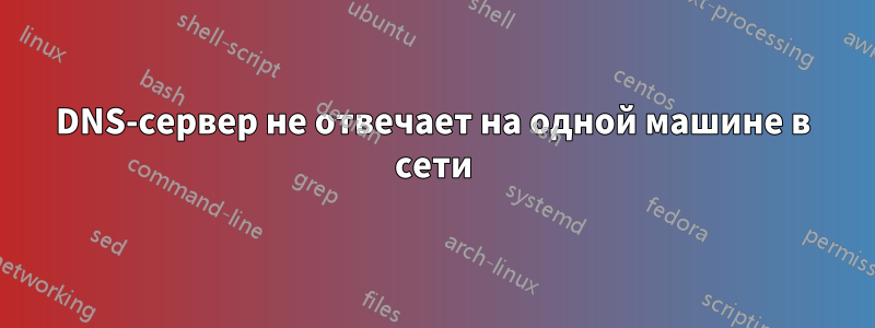 DNS-сервер не отвечает на одной машине в сети