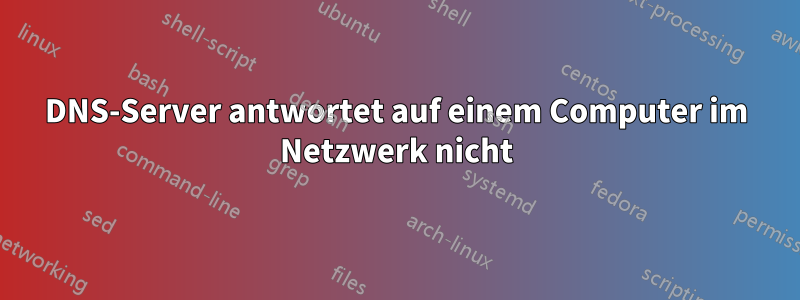 DNS-Server antwortet auf einem Computer im Netzwerk nicht