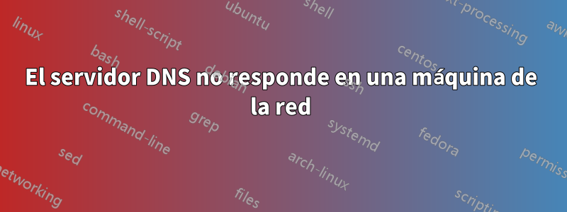 El servidor DNS no responde en una máquina de la red