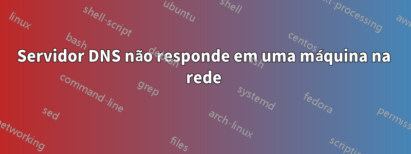 Servidor DNS não responde em uma máquina na rede