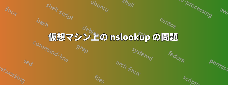 仮想マシン上の nslookup の問題