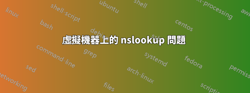 虛擬機器上的 nslookup 問題