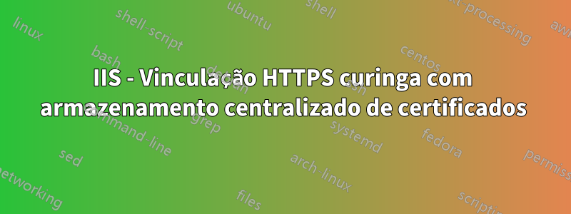 IIS - Vinculação HTTPS curinga com armazenamento centralizado de certificados