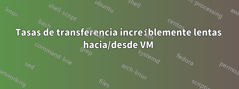 Tasas de transferencia increíblemente lentas hacia/desde VM