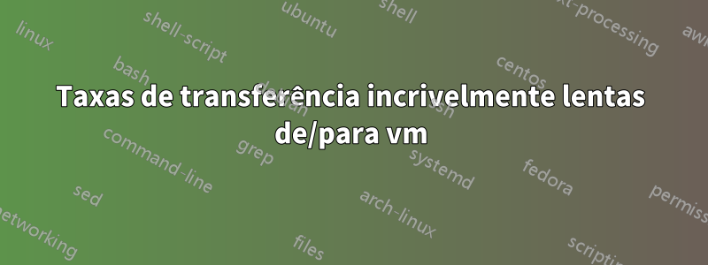 Taxas de transferência incrivelmente lentas de/para vm