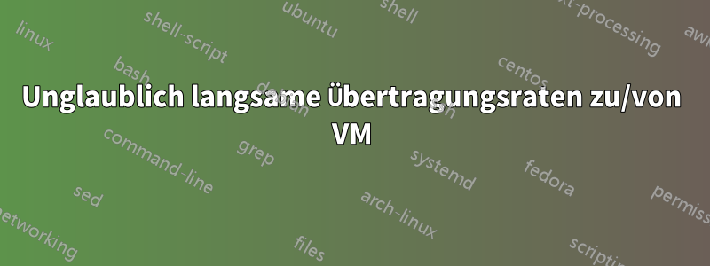 Unglaublich langsame Übertragungsraten zu/von VM