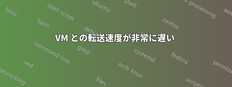 VM との転送速度が非常に遅い