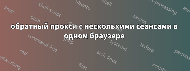 обратный прокси с несколькими сеансами в одном браузере