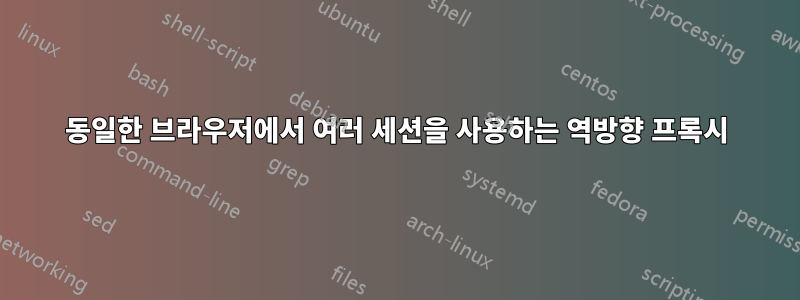 동일한 브라우저에서 여러 세션을 사용하는 역방향 프록시