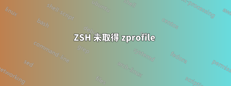 ZSH 未取得 zprofile