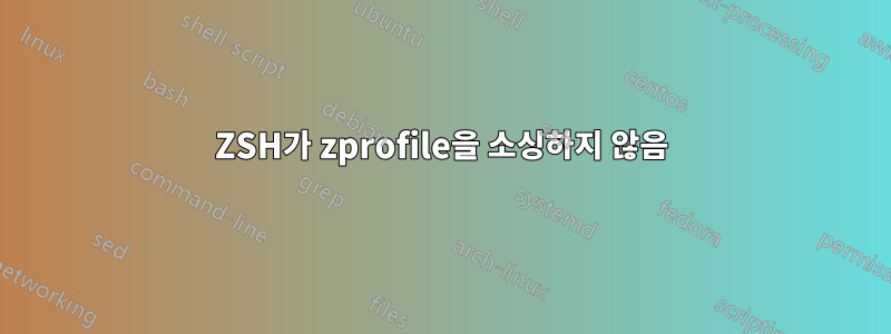 ZSH가 zprofile을 소싱하지 않음