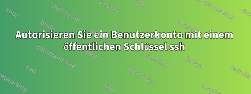 Autorisieren Sie ein Benutzerkonto mit einem öffentlichen Schlüssel ssh