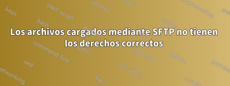 Los archivos cargados mediante SFTP no tienen los derechos correctos