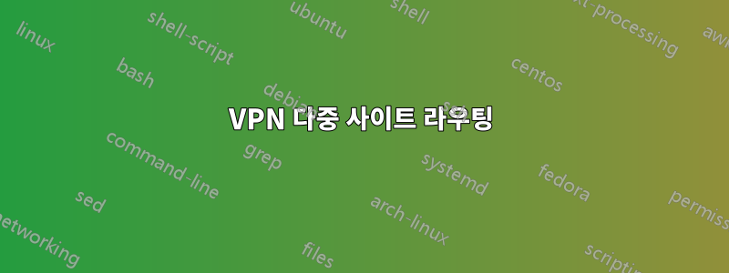 VPN 다중 사이트 라우팅