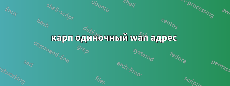 карп одиночный wan адрес