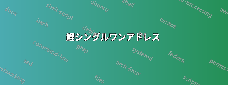 鯉シングルワンアドレス