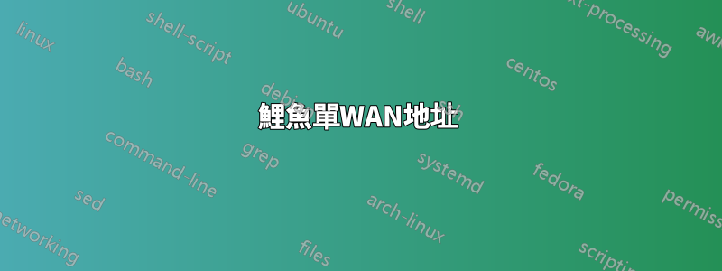 鯉魚單WAN地址