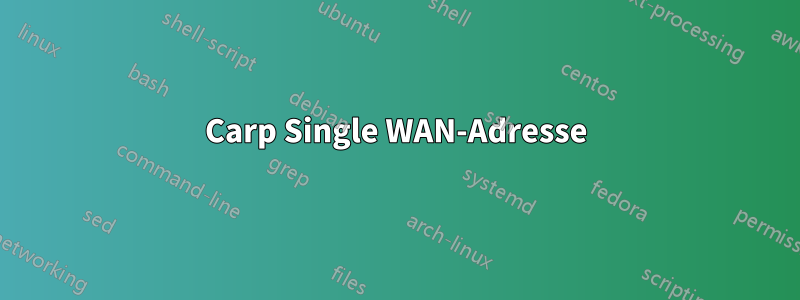 Carp Single WAN-Adresse