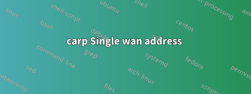 carp Single wan address