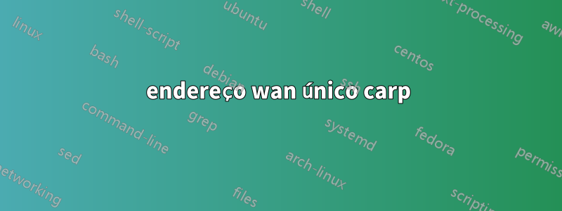 endereço wan único carp