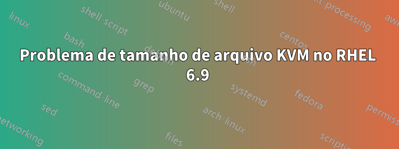 Problema de tamanho de arquivo KVM no RHEL 6.9