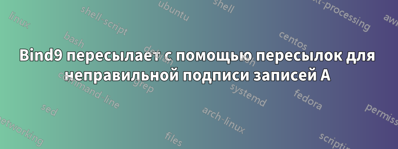 Bind9 пересылает с помощью пересылок для неправильной подписи записей A