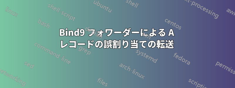 Bind9 フォワーダーによる A レコードの誤割り当ての転送