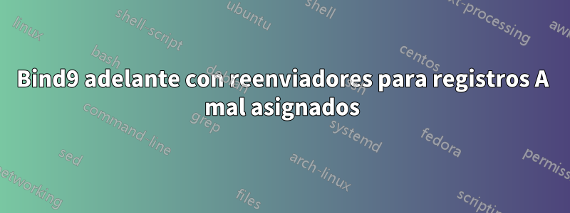 Bind9 adelante con reenviadores para registros A mal asignados