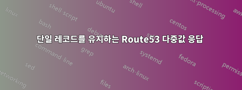 단일 레코드를 유지하는 Route53 다중값 응답