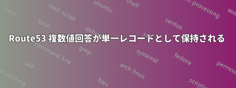 Route53 複数値回答が単一レコードとして保持される