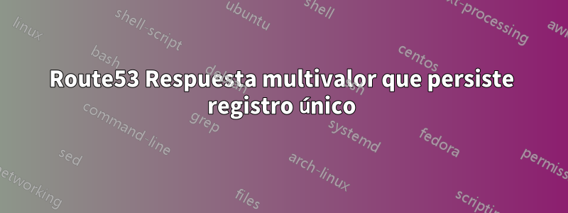 Route53 Respuesta multivalor que persiste registro único