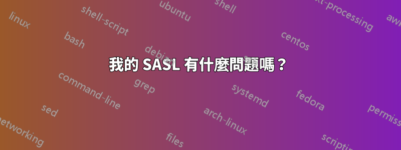 我的 SASL 有什麼問題嗎？