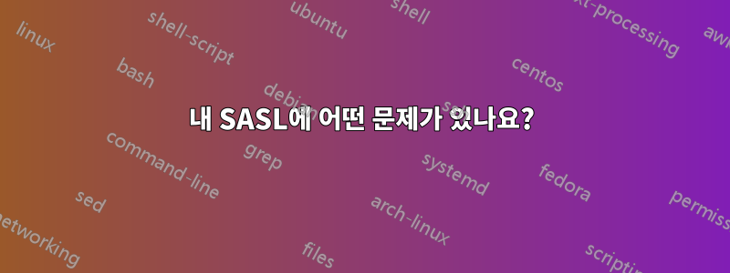 내 SASL에 어떤 문제가 있나요?