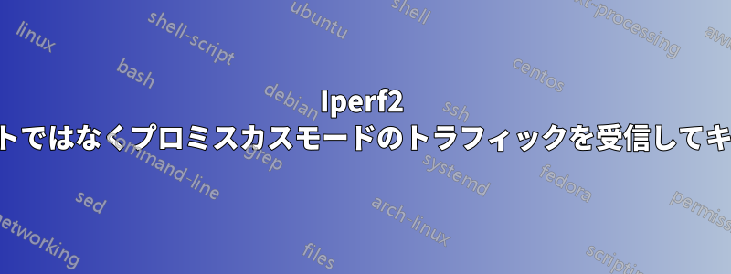 Iperf2 はマルチキャストではなくプロミスカスモードのトラフィックを受信して​​キャプチャします