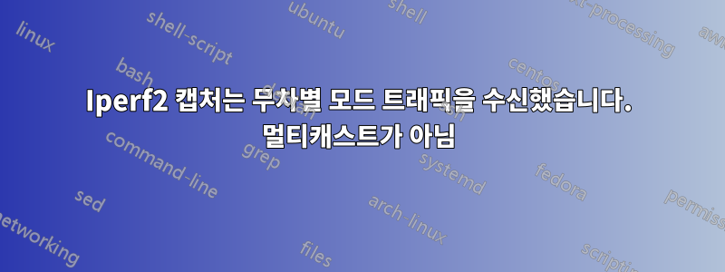 Iperf2 캡처는 무차별 모드 트래픽을 수신했습니다. 멀티캐스트가 아님