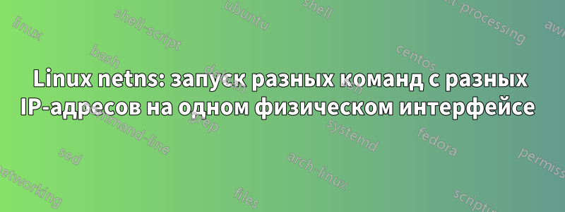 Linux netns: запуск разных команд с разных IP-адресов на одном физическом интерфейсе 