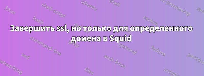 Завершить ssl, но только для определенного домена в Squid