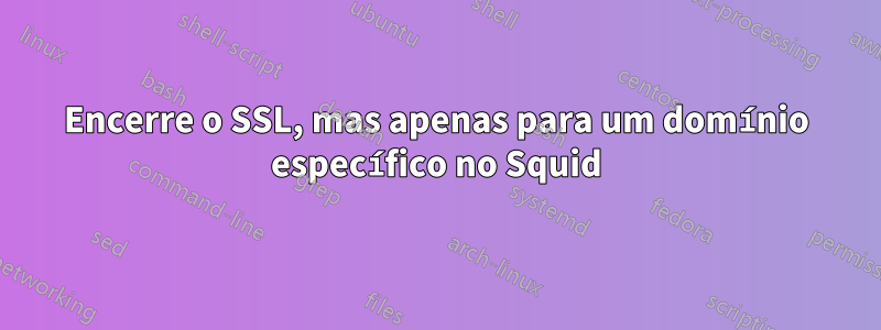 Encerre o SSL, mas apenas para um domínio específico no Squid