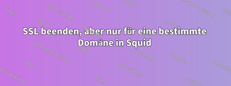 SSL beenden, aber nur für eine bestimmte Domäne in Squid