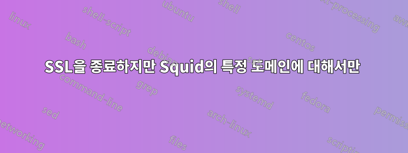 SSL을 종료하지만 Squid의 특정 도메인에 대해서만