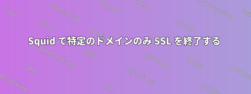 Squid で特定のドメインのみ SSL を終了する