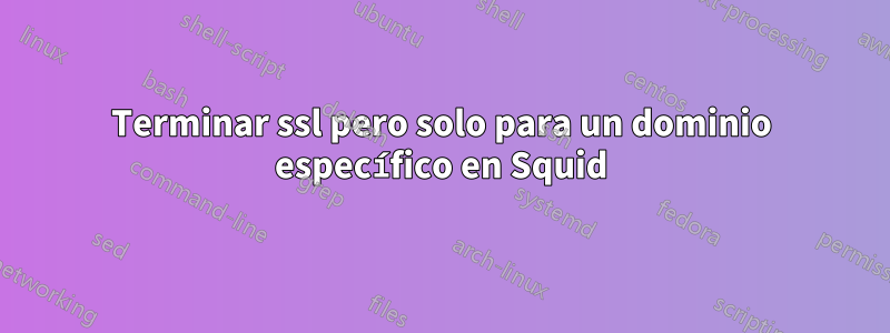 Terminar ssl pero solo para un dominio específico en Squid