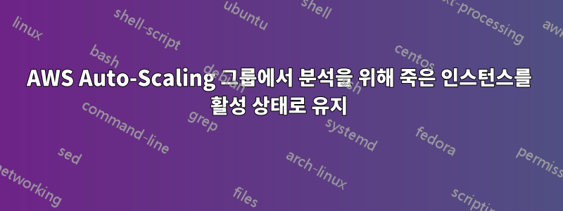 AWS Auto-Scaling 그룹에서 분석을 위해 죽은 인스턴스를 활성 상태로 유지