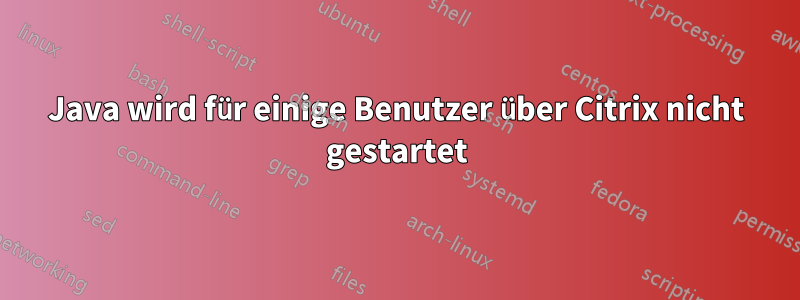 Java wird für einige Benutzer über Citrix nicht gestartet