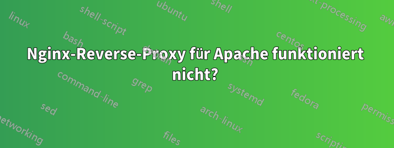 Nginx-Reverse-Proxy für Apache funktioniert nicht?