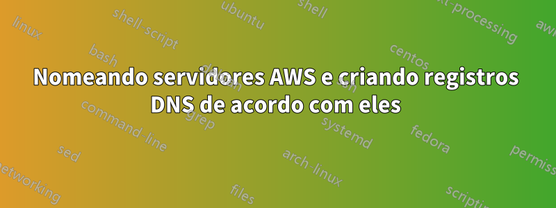 Nomeando servidores AWS e criando registros DNS de acordo com eles